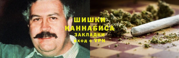 спайс Вяземский