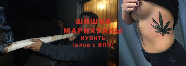 спайс Вяземский