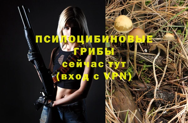 apvp Вязники