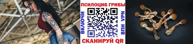 Псилоцибиновые грибы GOLDEN TEACHER  МЕГА   площадка какой сайт  Злынка 